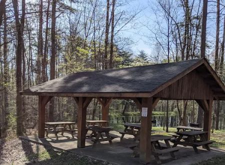 Owen-Putnam State Forest