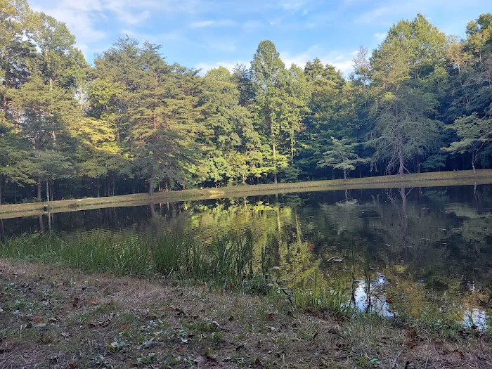 Owen-Putnam State Forest Picture 3
