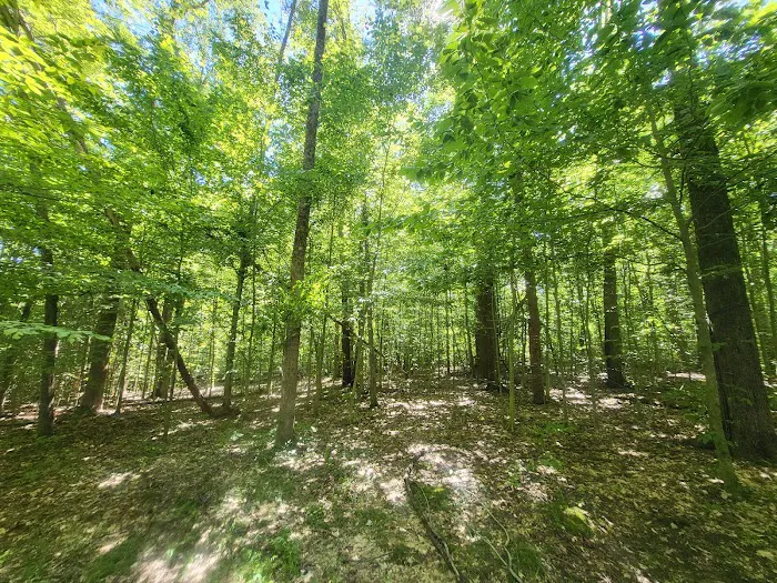 Owen-Putnam State Forest Picture 6