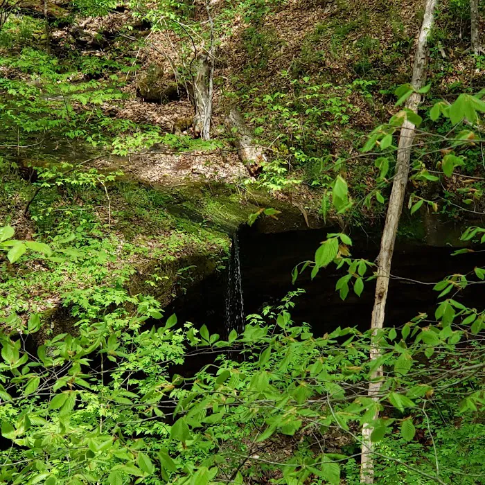 Owen-Putnam State Forest Picture 10