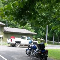 Indiana Forestry Division ico