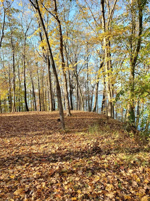 Patoka Lake Picture 9