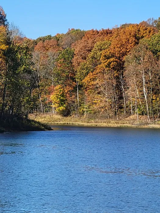 Patoka Lake Modern Campground Picture 3