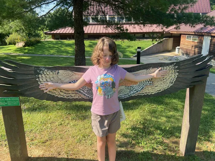 Patoka Lake Fisherman's Campground Picture 4
