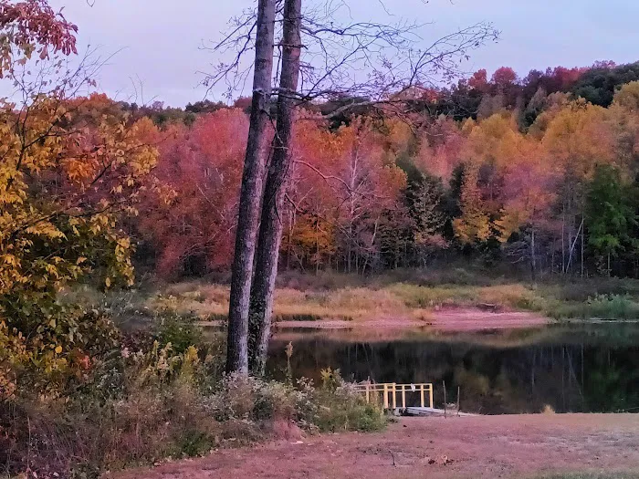 Patoka Lake Fisherman's Campground Picture 9