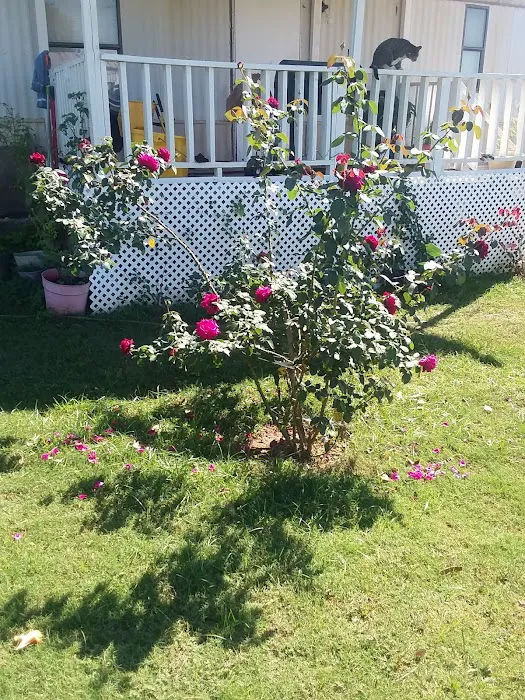 Lakewood Estates Picture 5