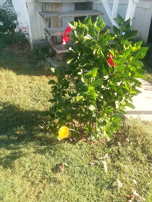 Lakewood Estates Picture 3