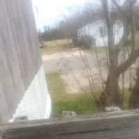 Lakewood Estates ico