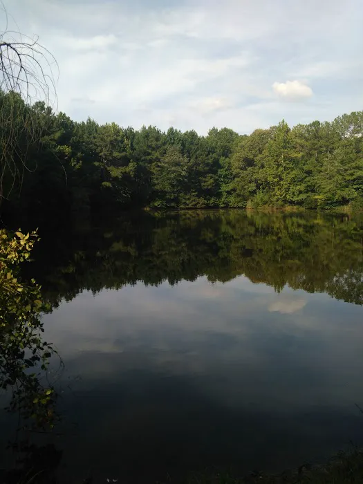 Candy Mountain RV Park Picture 10