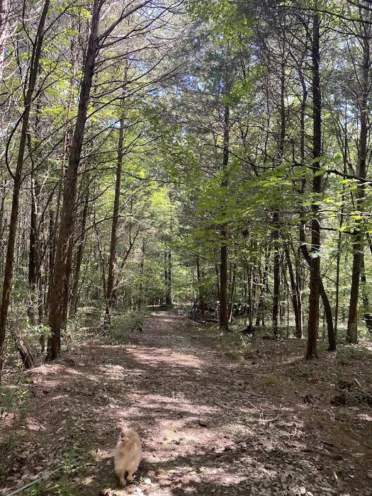 Smith Ridge Campground Picture 2
