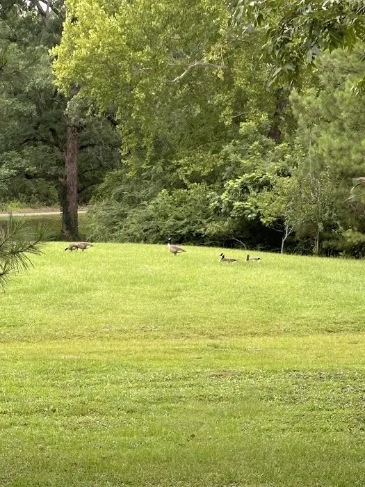 Eden Lake RV Park Picture 7