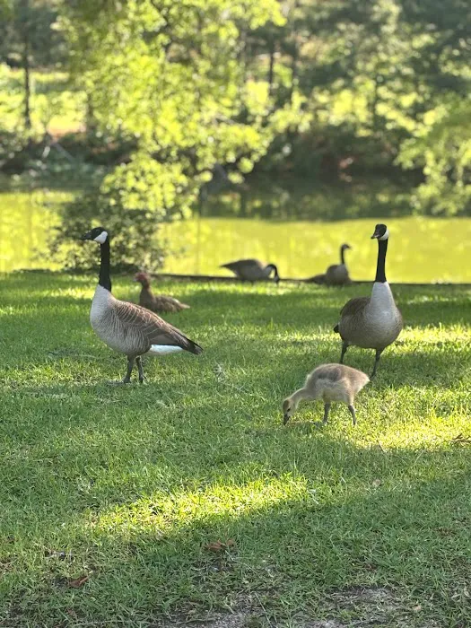 Eden Lake RV Park Picture 6