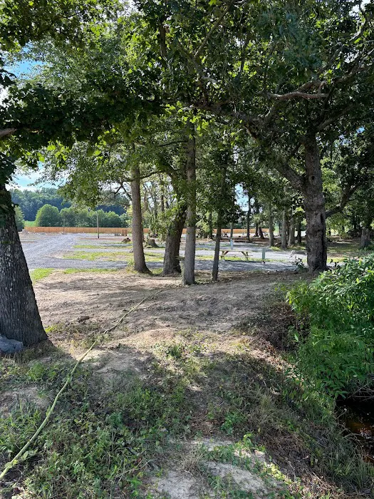 The Driftwoods RV Park Picture 8