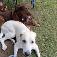 Hughey lake campground ico