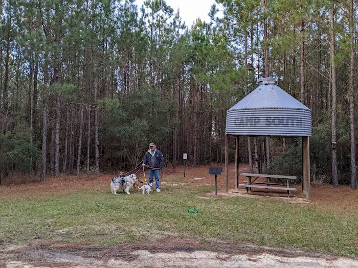 Camp South RV Park Picture 2