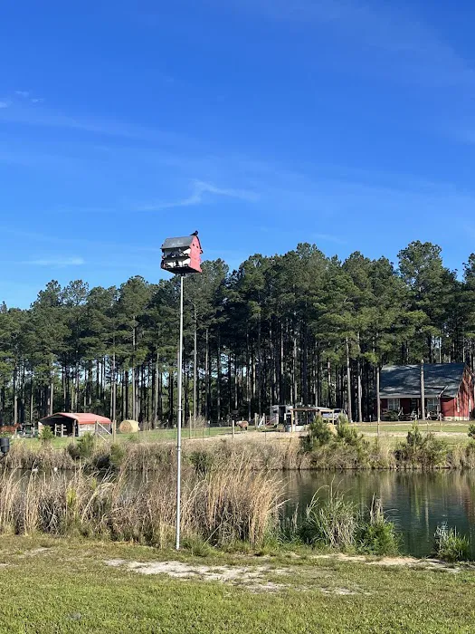 Camp South RV Park Picture 1