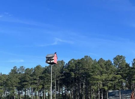 Camp South RV Park
