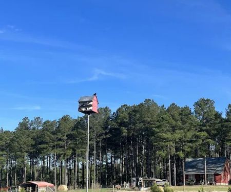 Camp South RV Park