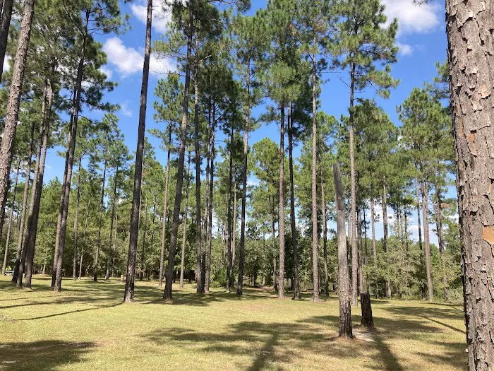 Whispering Pines RV Park Picture 1