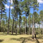 Whispering Pines RV Park