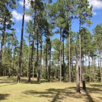 Whispering Pines RV Park ico