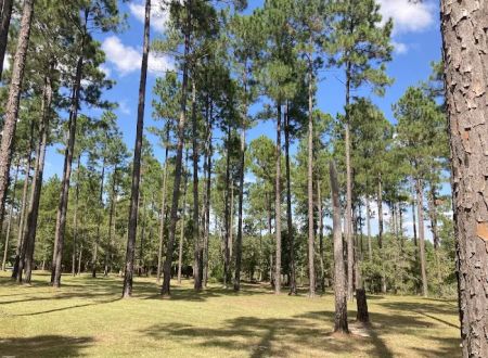 Whispering Pines RV Park