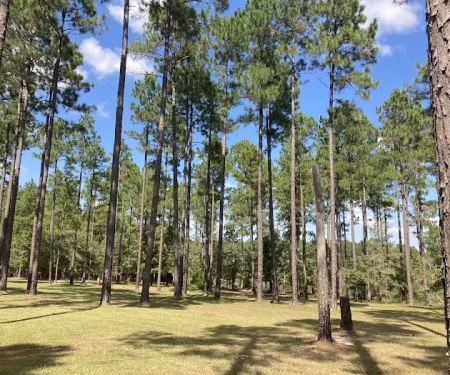 Whispering Pines RV Park