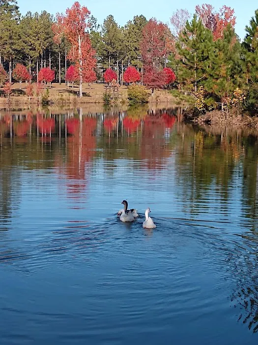 Whispering Pines RV Park Picture 6