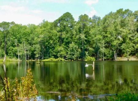 Bear Branch RV Park & Wildlife