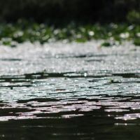 Diamond Lake County Park ico