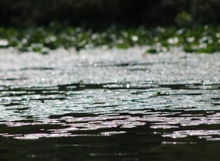 Diamond Lake County Park