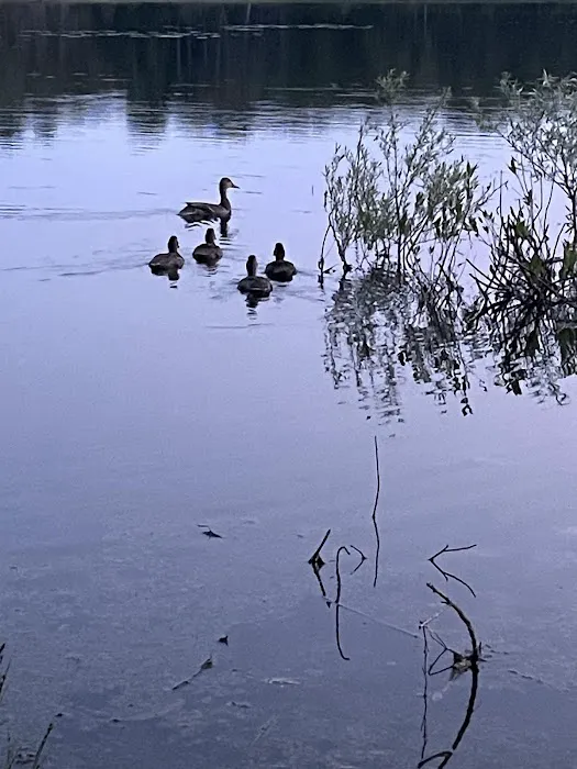 Indian Lake Picture 4