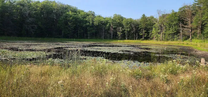 Indian Lake Picture 8