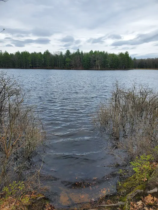 Shelley Lake Campground Picture 1