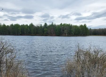 Shelley Lake Campground