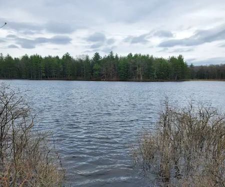 Shelley Lake Campground