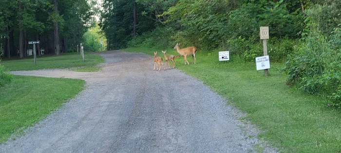 The Lost Oaks Campground Picture 5