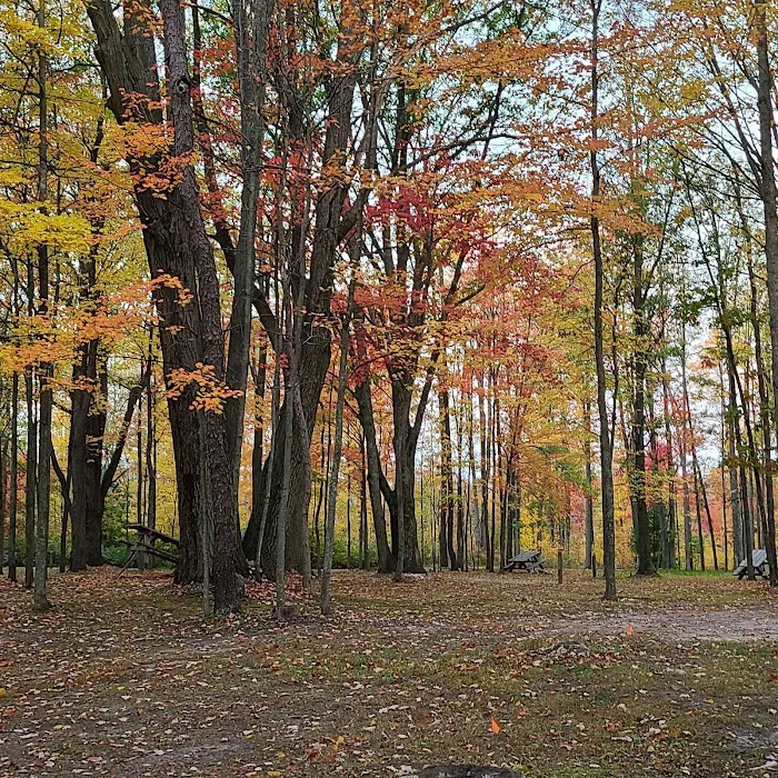 The Lost Oaks Campground Picture 6