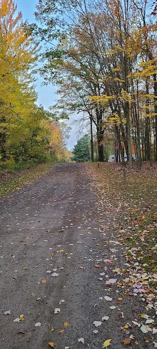 The Lost Oaks Campground Picture 10