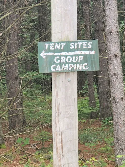 Tenting in the Pines Picture 8