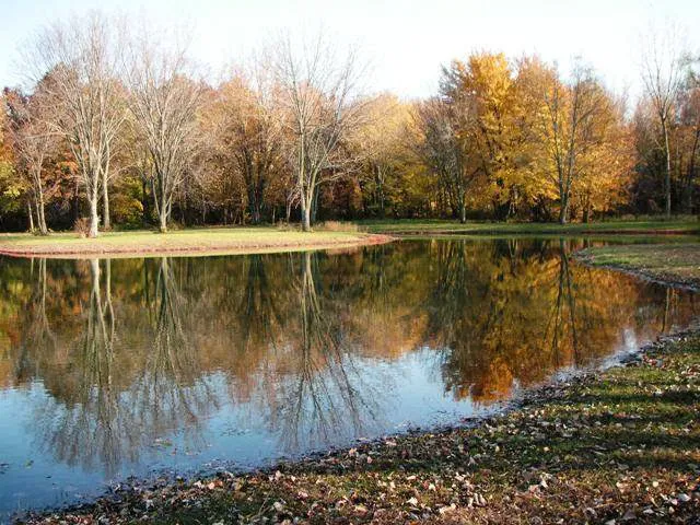 Michigan City Campground Picture 3