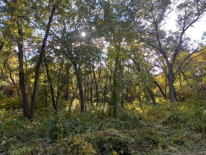 Central Avenue Walk-in Campsites Picture 2
