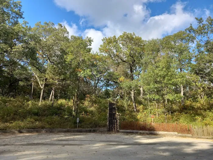 Central Avenue Walk-in Campsites Picture 4