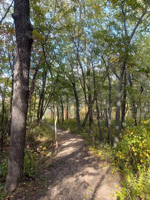Central Avenue Walk-in Campsites Picture 5