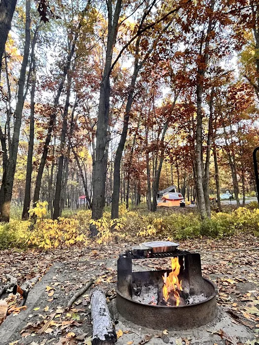 Dunewood Campground Picture 2