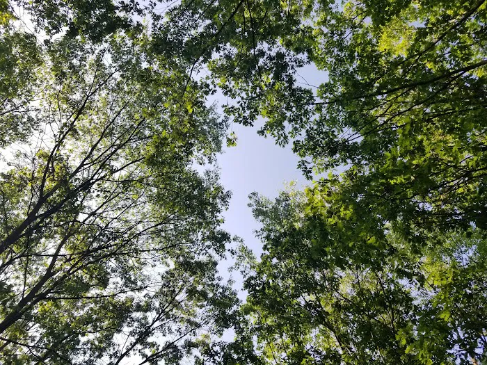 Dunewood Campground Picture 5