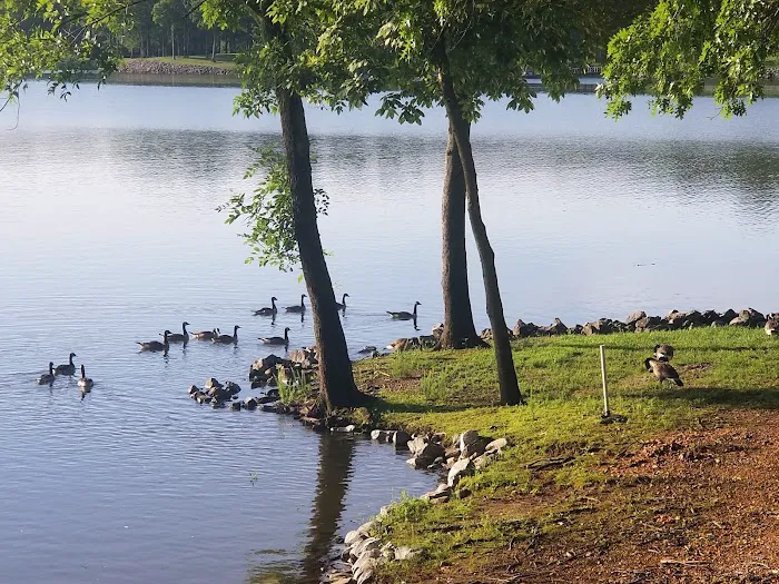Cypress Cove RV Park Picture 2