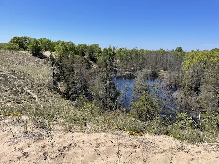 Muskegon State Park Channel Campground Picture 4
