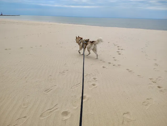 Muskegon State Park Channel Campground Picture 7