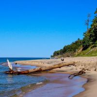 Pioneer Park Campground ico